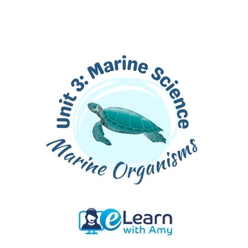 Unit 3 Marine Science (1)