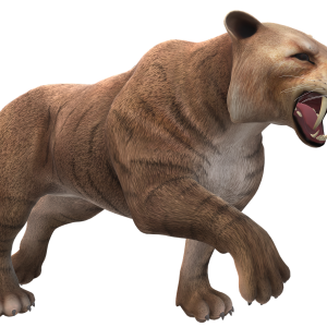 All-ages Palaeontology - Sabertooth Cats - recording from 30th January 2025 